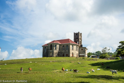 Quakers Church - Happy Grove, Portland