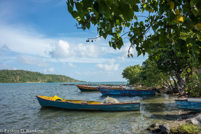 Fishing Boats