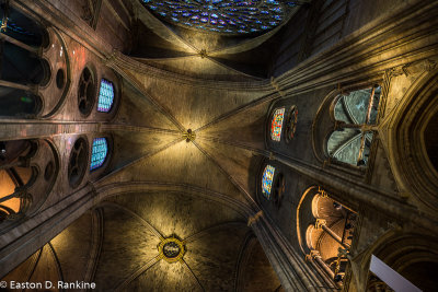 Ceiling - Notre-Dame de Paris