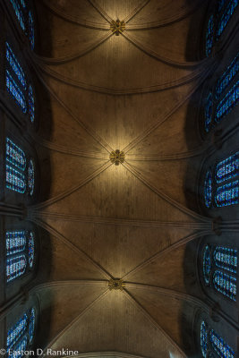 Ceiling II - Notre-Dame de Paris