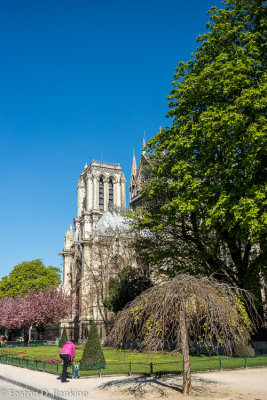 Southern Facade - Notre-Dame de Paris