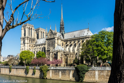 Notre-Dame de Paris from the Left Bank of the Seine