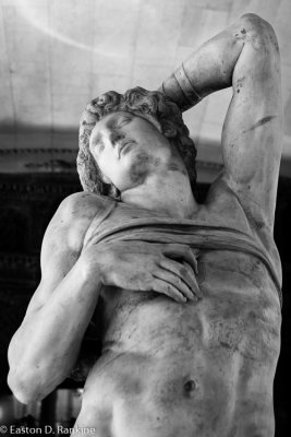 The Dying Slave - Michelangelo