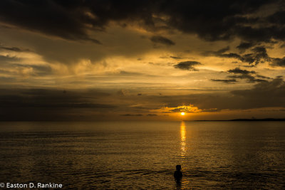 Zoey, Alone in the Caribbean Sea