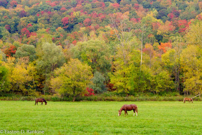 Somewhere in Connecticut IV