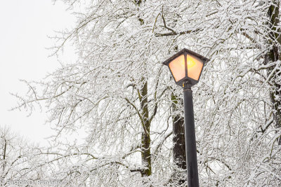 Winter Light