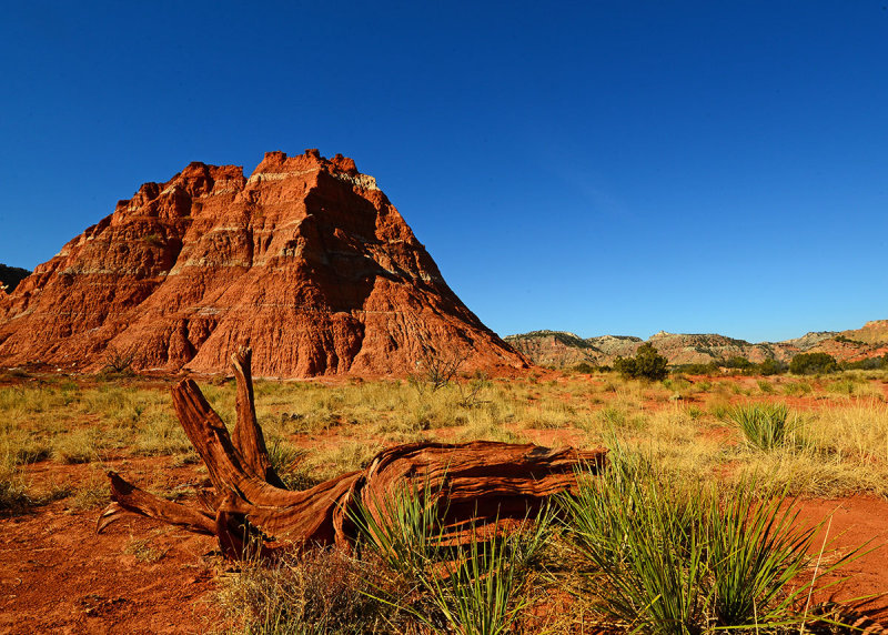 Along lighthouse trail