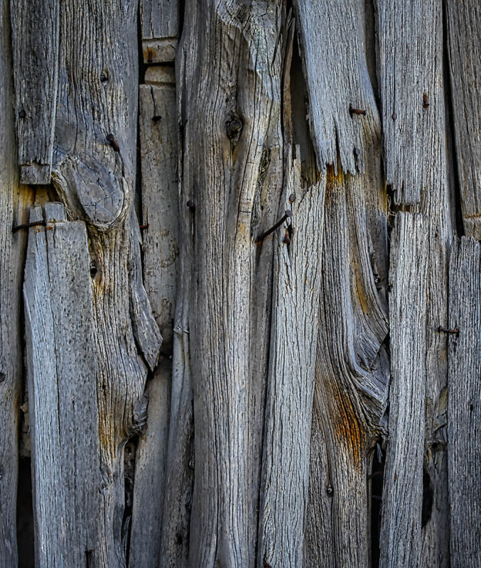 Shed wall