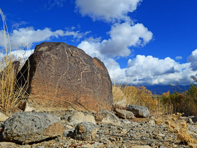 Three Rivers Petroglyph Site