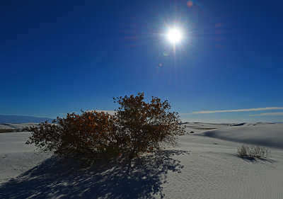 White Sands NM