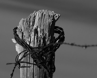 The fence post.