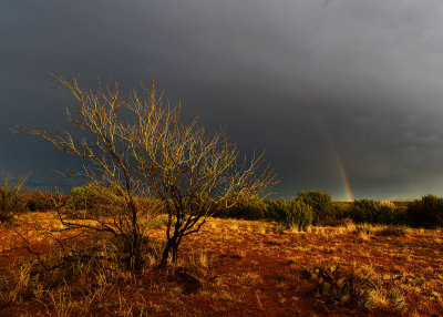 Near Matador Texas