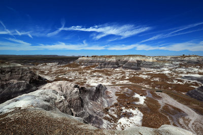 Petrified forest