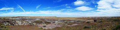 At petrified forest