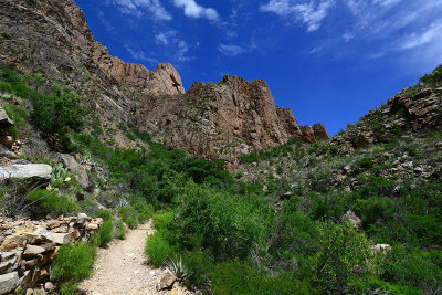 The Window trail