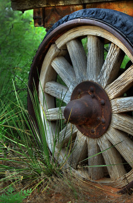 wheel and yucca