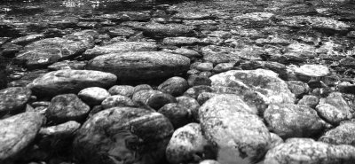 Rocks in a stream bed. 