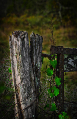 DSC_8966_HDR_edit_edit_edit.jpg