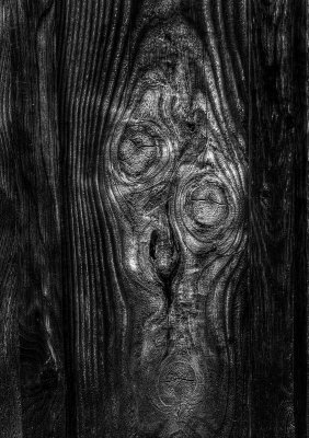 The Scream as reproduced by nature and a saw mill. 