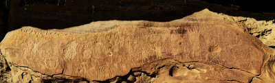Petroglyph panel at the camp ground