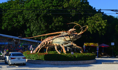 Big lobster Florida Keys.