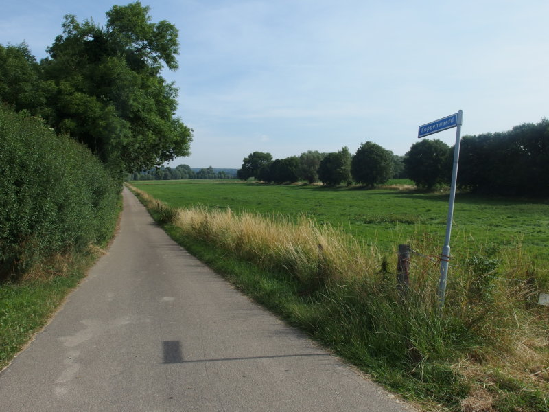 P7160001.JPG
