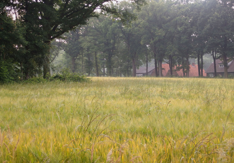 Wolinkweg
