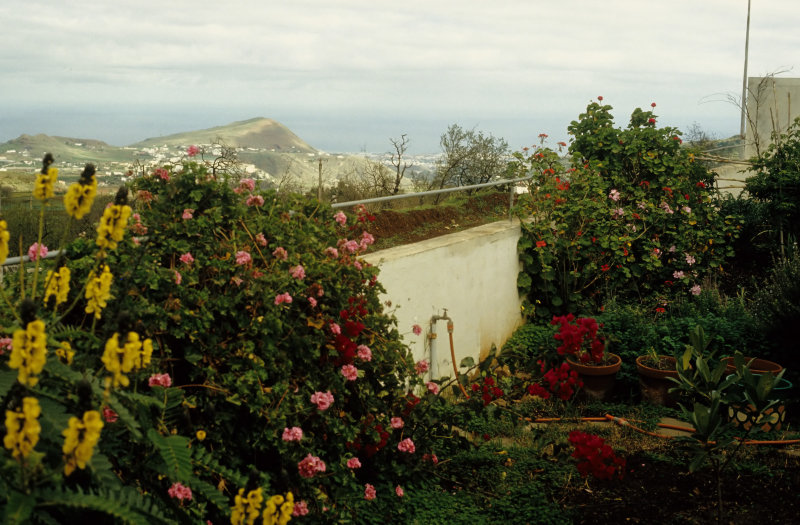 the Backgarden with seaview