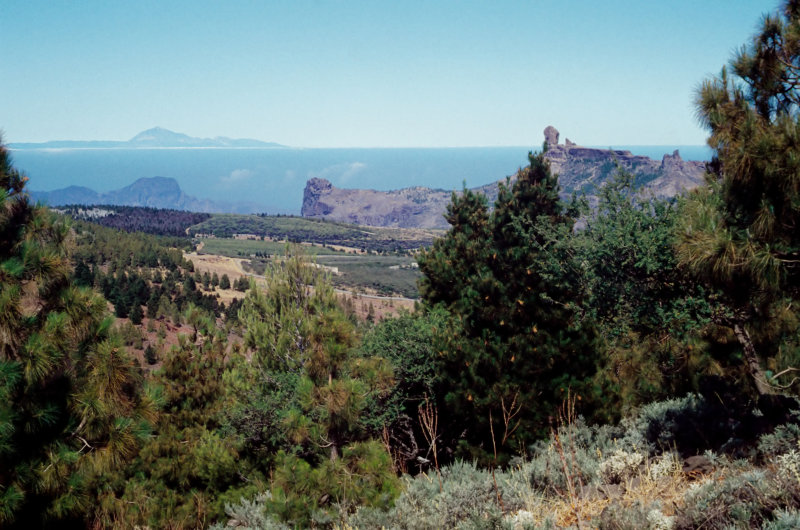 Tejeda