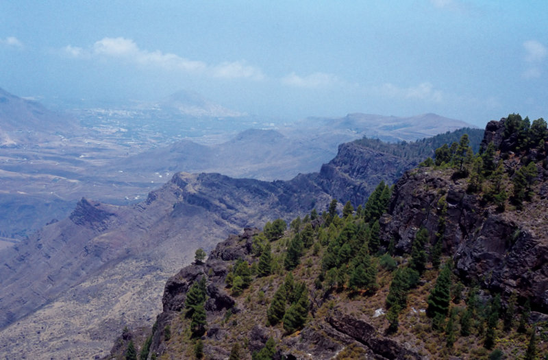 Las Palmas