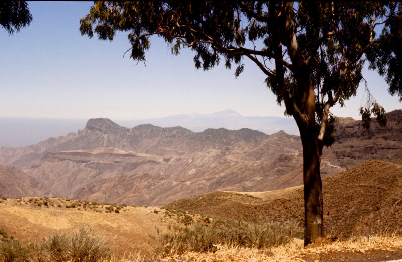 Teide