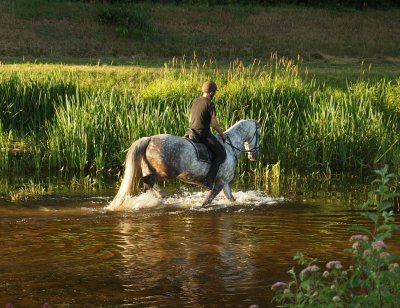 pootje baden