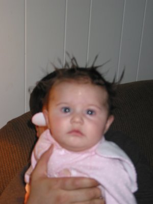 Picture 013.jpg