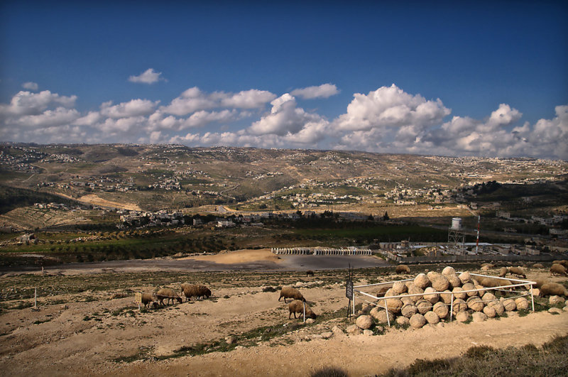 Herodium