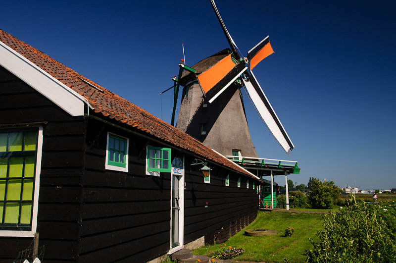 DSC_3675.jpg