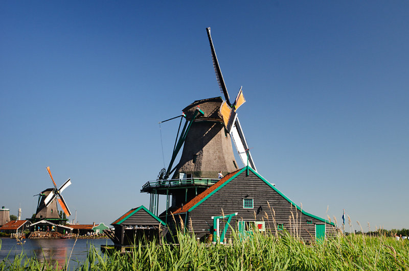DSC_3647.jpg