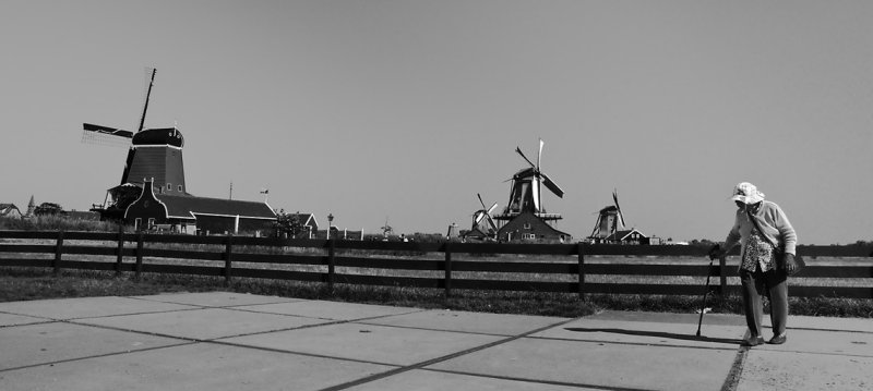 DSC_3645.jpg