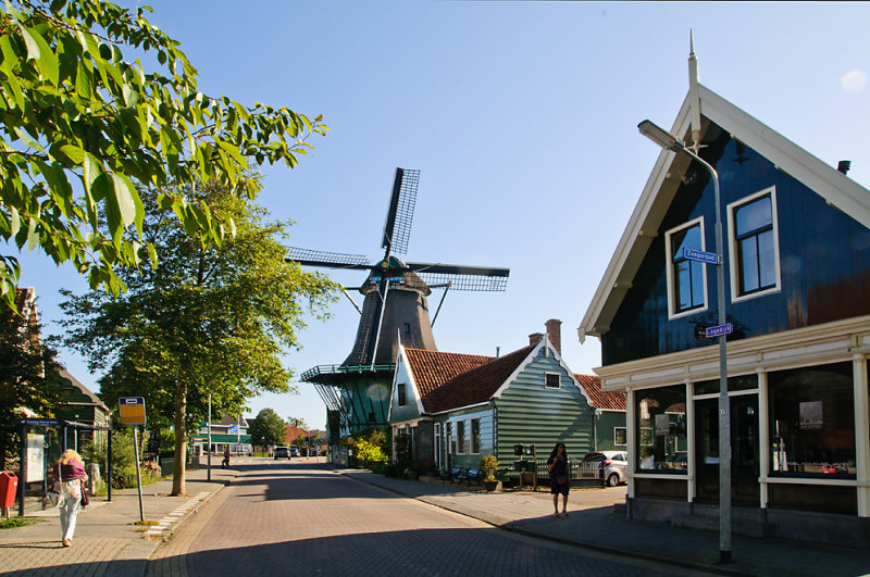 DSC_3593.jpg