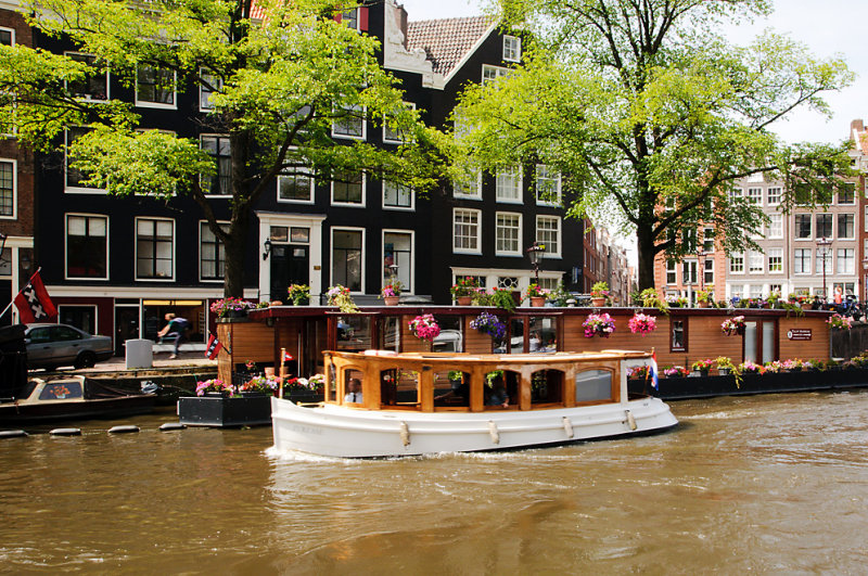 DSC_3556.jpg