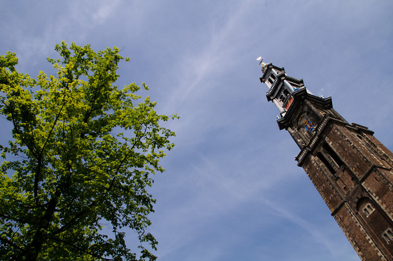 DSC_3554.jpg