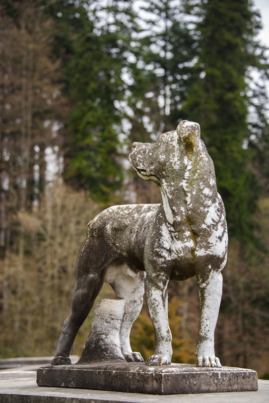 DSC_3091.jpg