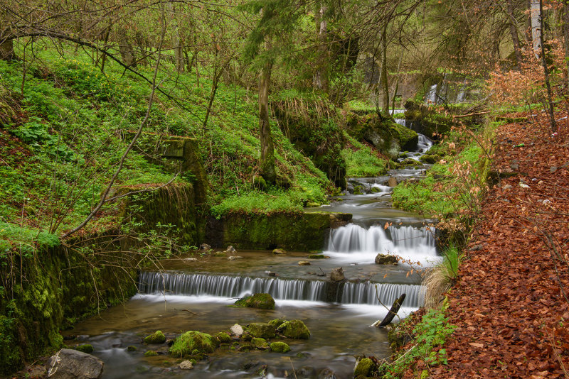 DSC_3161.jpg