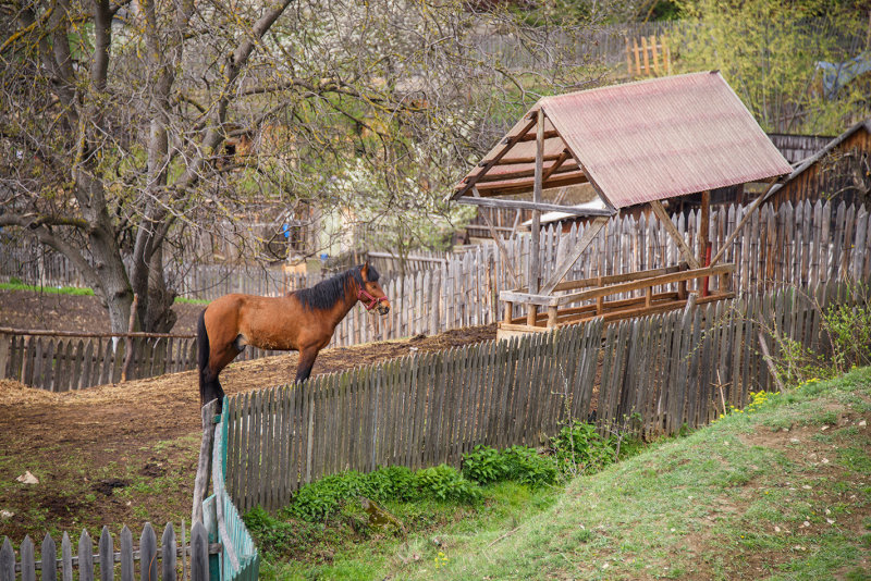 DSC_3386.jpg