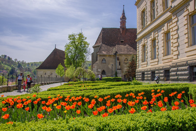 DSC_3631.jpg