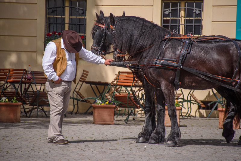 DSC_3670.jpg
