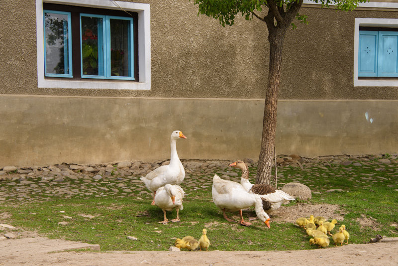 DSC_3714.jpg