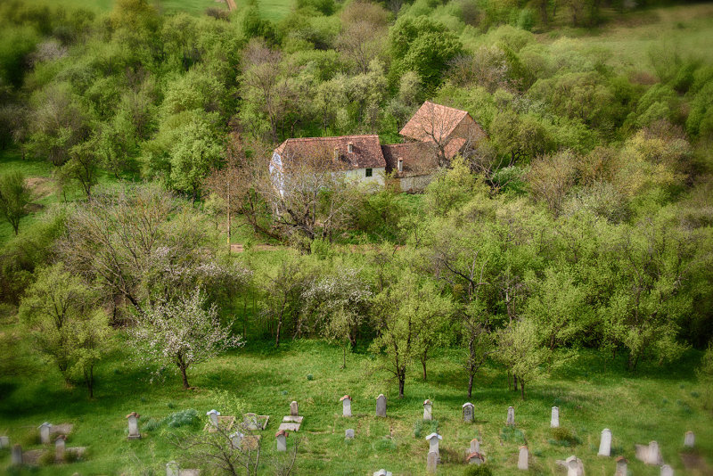 DSC_3736.jpg