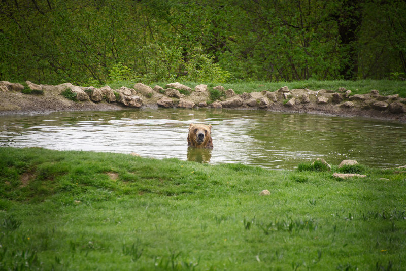 DSC_3816.jpg
