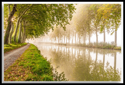 Early Morning view of Canal du Midi 