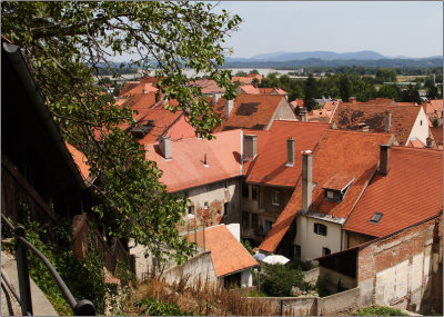 Ptuj, vue du chteau